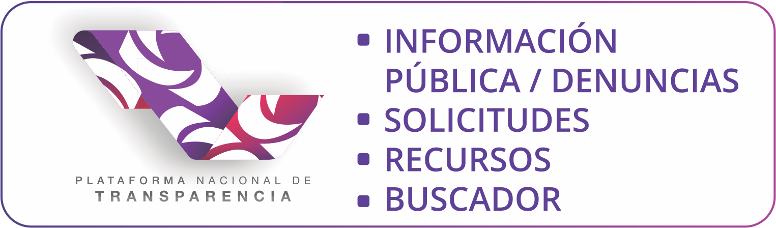 Ir al sitio